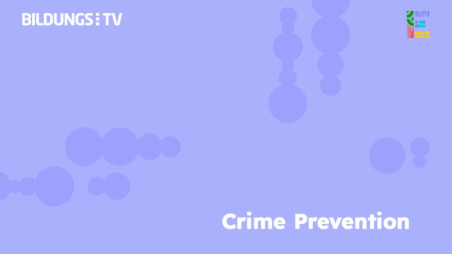 Harald Pölz: Crime Prevention im Internet